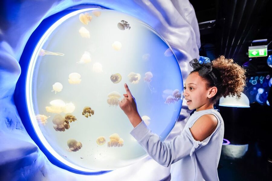 London: SEA LIFE Entry Ticket - Key points to know before you go