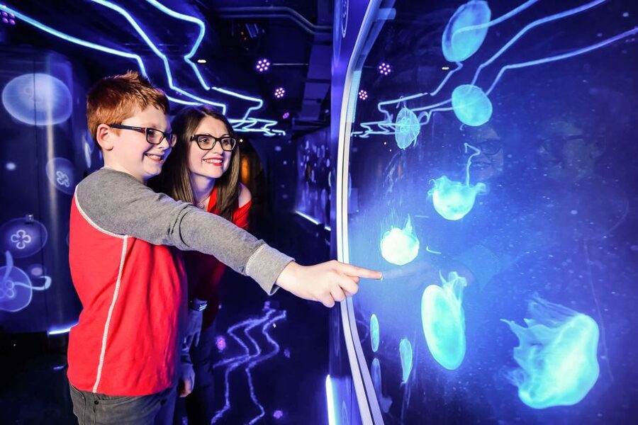 London: SEA LIFE Entry Ticket - How long you need inside