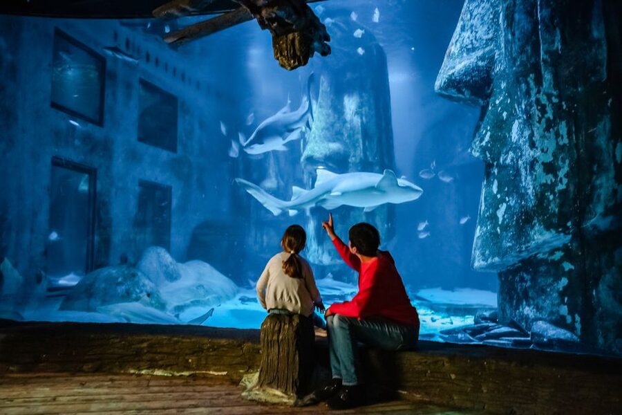 London: SEA LIFE Entry Ticket - Tropical fish and the first marine displays