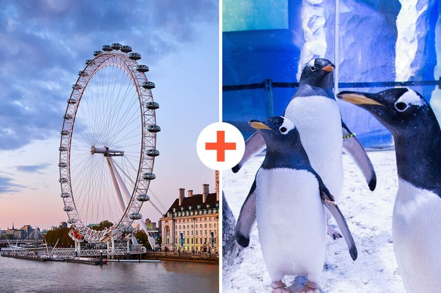 London: SEA LIFE & London Eye Combo Ticket - Key points at a glance