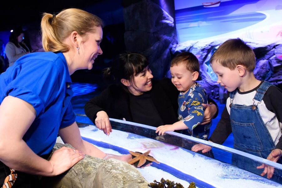 London: SEA LIFE & London Eye Combo Ticket - Riding the London Eye at 135 meters
