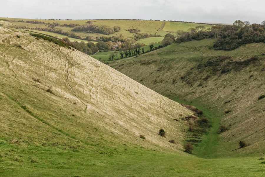 London: South Downs White Cliffs Day Trip with Train Tickets - What makes this day trip worth your time