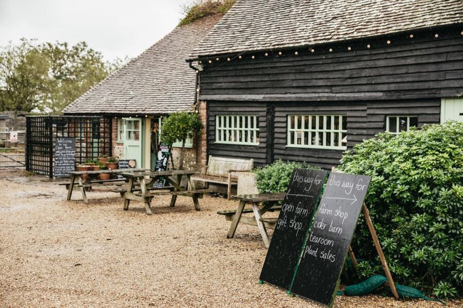 London: South Downs White Cliffs Day Trip with Train Tickets - Who should book this South Downs day?
