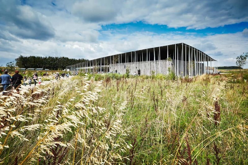 London: Stonehenge Morning or Afternoon Tour Optional Lunch - Five things to know before you book