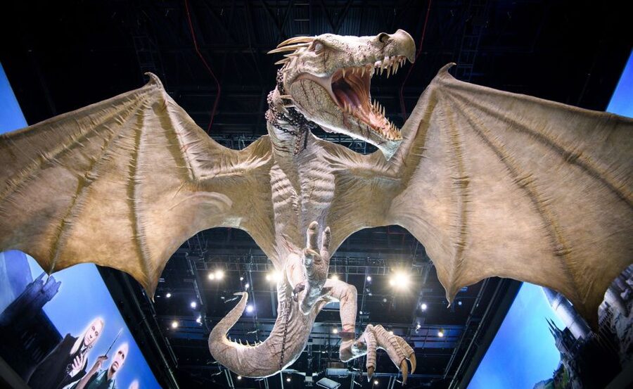 London: Warner Bros. Studio Tour with Return Transportation - Is this Harry Potter Studio Tour worth booking?