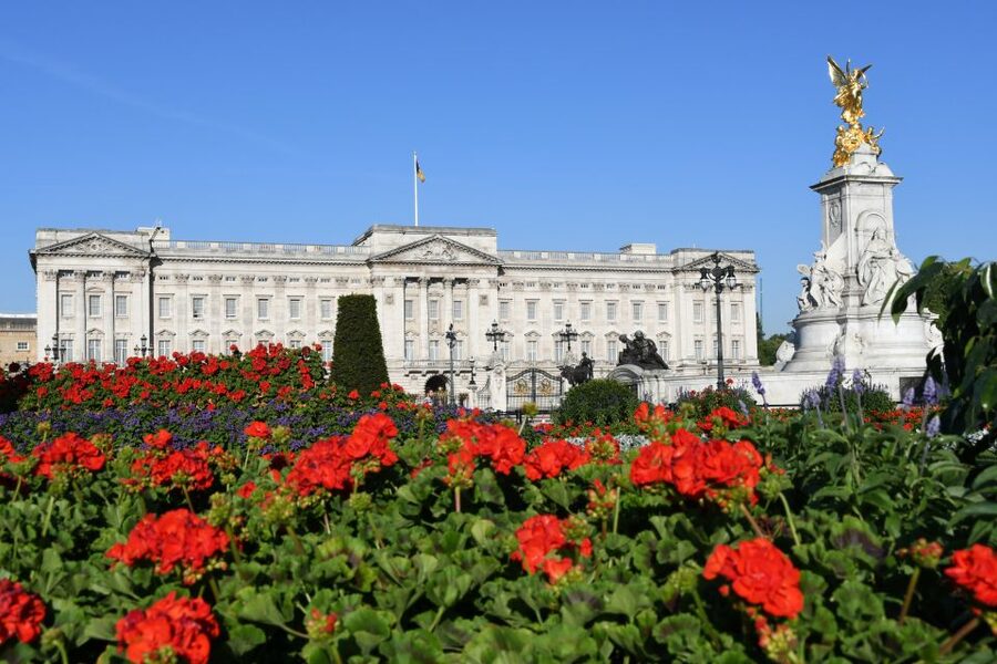 London: Westminster Walking Tour & Westminster Abbey Visit - Key things to know before booking