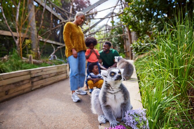 London Zoo Entry Ticket - What the $41.82 ticket really buys you