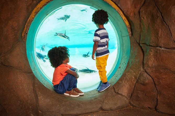 London Zoo Entry Ticket - Tiny Giants proves small does not mean dull