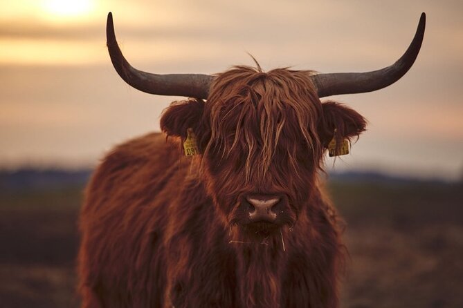 Luxury Private Tour of The Highlands & Loch Ness from Edinburgh - The Trossachs provide the first big change of scenery