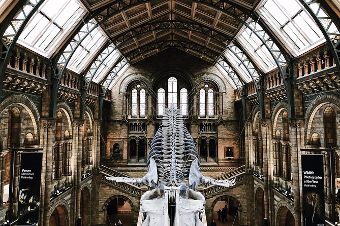 Natural History Museum London - Exclusive Guided Museum Tour - Why this museum needs a route