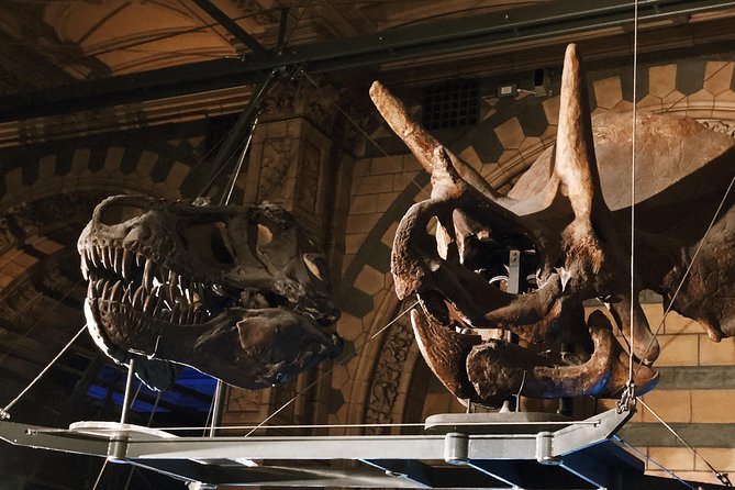 Natural History Museum London - Exclusive Guided Museum Tour - Fossils, plants, and specimens with strange stories