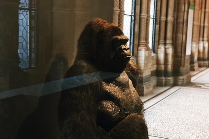 Natural History Museum London - Exclusive Guided Museum Tour - Pompeii casts and the darker side of human history
