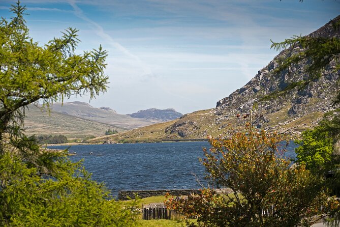 North Wales and Caernarfon Castle day-tour from Liverpool - Betws-y-Coed: pretty, popular, and practical issues