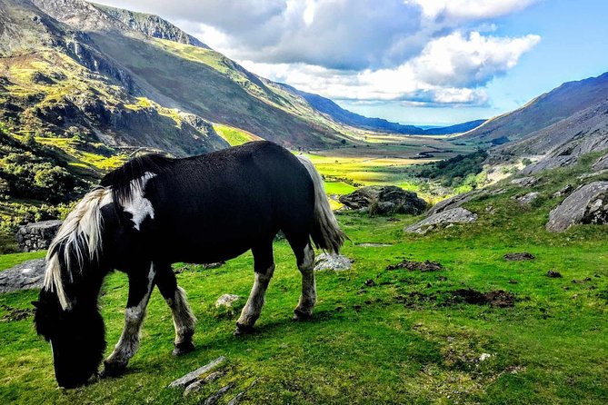North Wales Sightseeing Adventure Day Trip from Manchester - Key points to know before booking