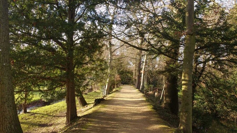 Oxford: C.S. Lewis & J.R.R. Tolkien Guided Walking Tour - Starting on Broad Street with Oxford’s big picture