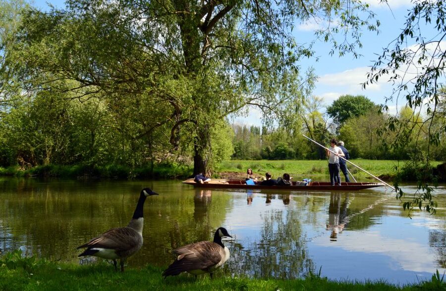 Oxford: Official University and City Walking Tour - Pubs, the Inklings, and Oxford’s detective stories