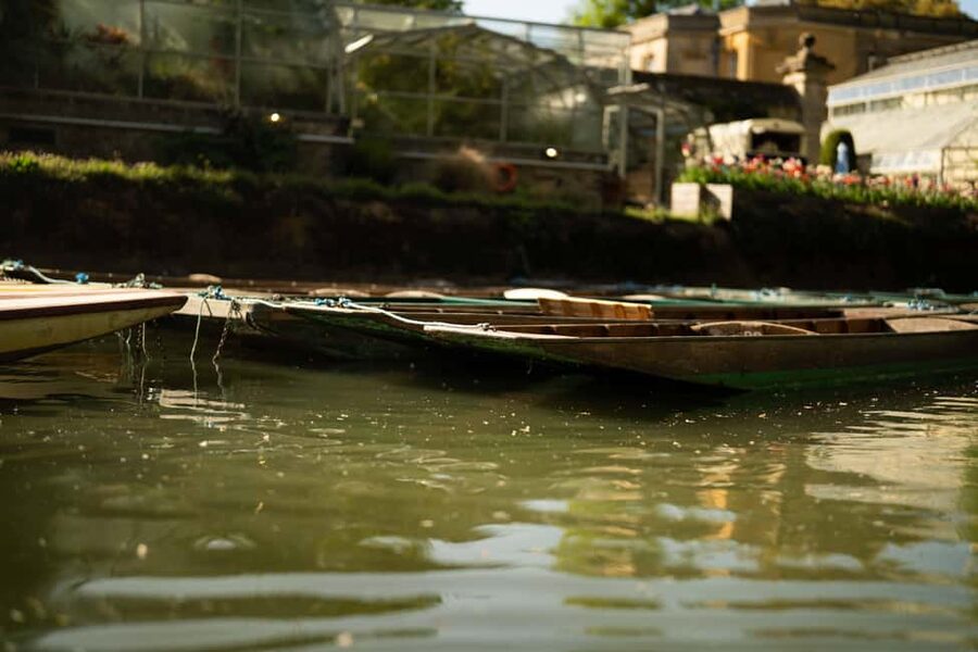 Oxford: Punting Tour on the River Cherwell - Why the River Cherwell is a fine place to punt
