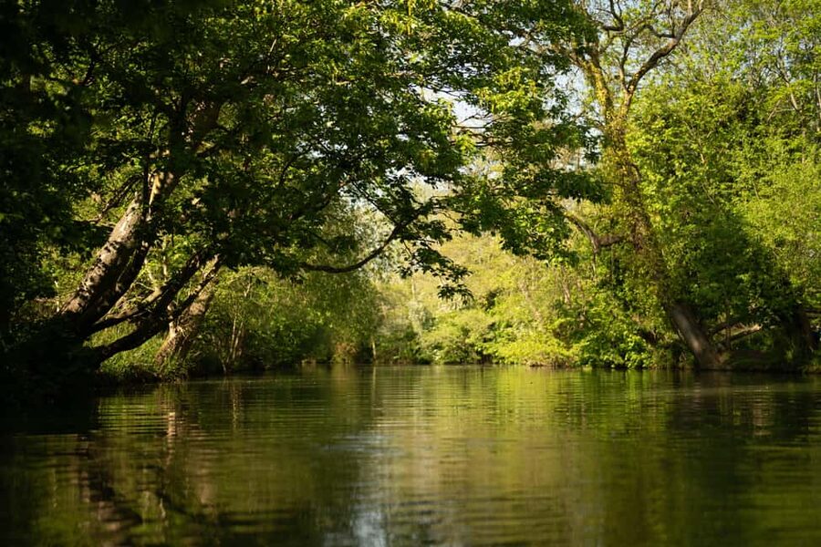 Oxford: Punting Tour on the River Cherwell - Who should book this Cherwell cruise?
