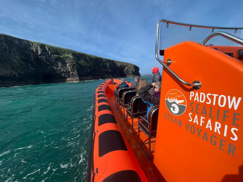 Padstow: Guided RIB Sealife Safari - North Cornwall’s cliffs, coves, and working coast