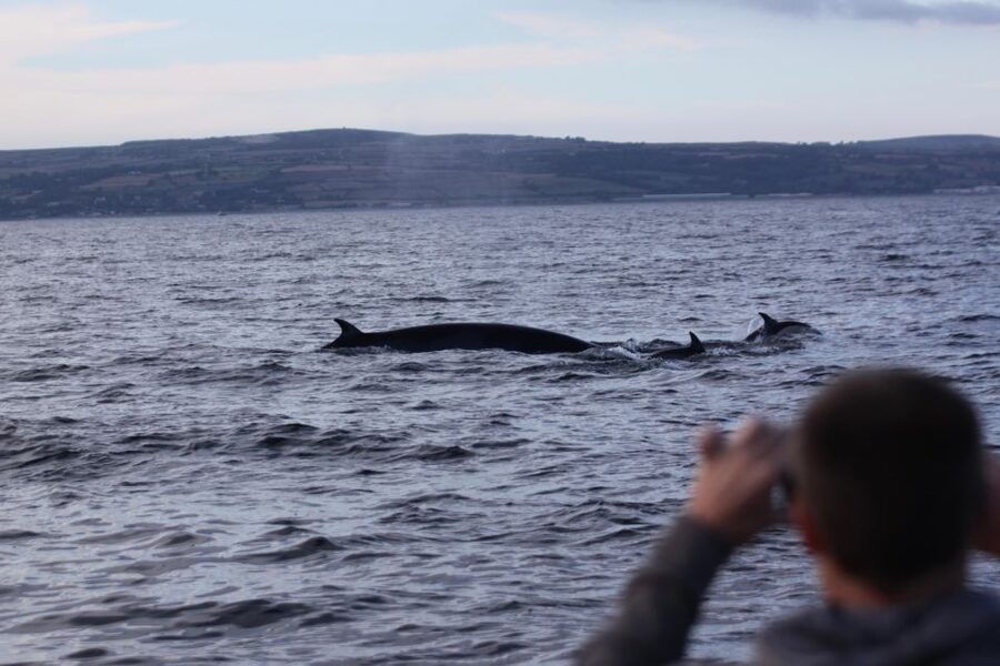 Penzance: Land's End Boat Tour with Wildlife Guides - Seeing Cornwall’s Fishing Villages from Offshore