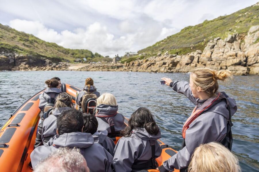 Penzance: Land's End Boat Tour with Wildlife Guides - What the Guides Add to the Ride