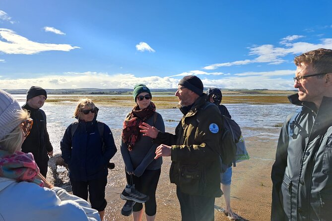 Pilgrims' Path walk across the sands to Holy Island - Starting at 3:30 a.m. in Beal
