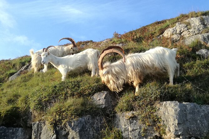Portmeirion, Castles and Snowdonia Tour - Caernarfon: a fortress with real weight