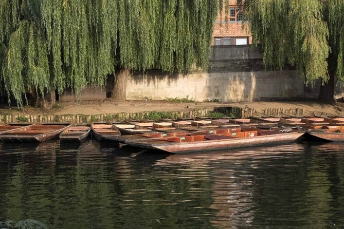 Private Cambridge Punting Tour - Is $137.25 good value for a private boat?