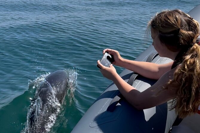Private Coastal Boat Tour in Torquay - Pausing for dolphins and porpoises