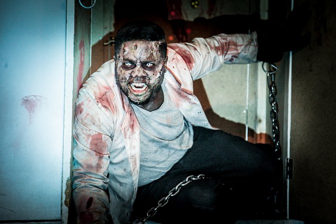 Private Escape Room with a Zombie in London - Puzzles that challenge without stopping the fun