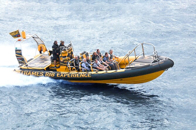 PRIVATE HIRE 45 min Speedboat Tour - Embankment/Westminster Pier - Westminster sights from the river
