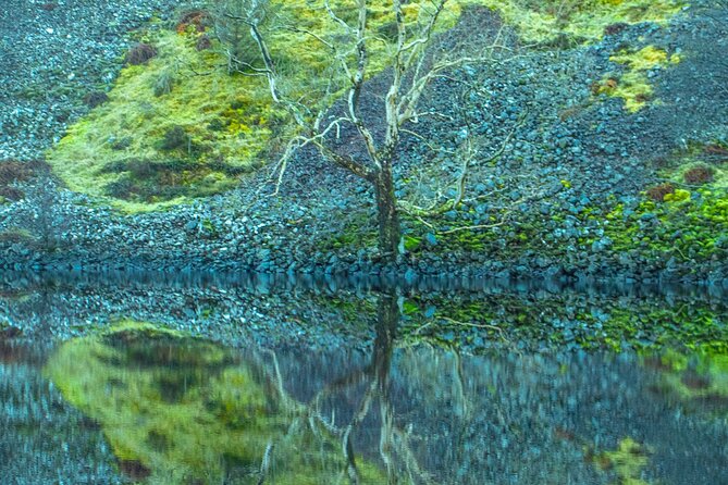 Private Tour of the Scottish Highlands from Edinburgh - Why this private tour works well from Edinburgh