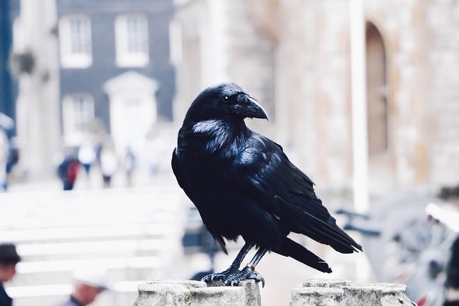 Private Tour of The Tower of London - What $363.42 per person gets you