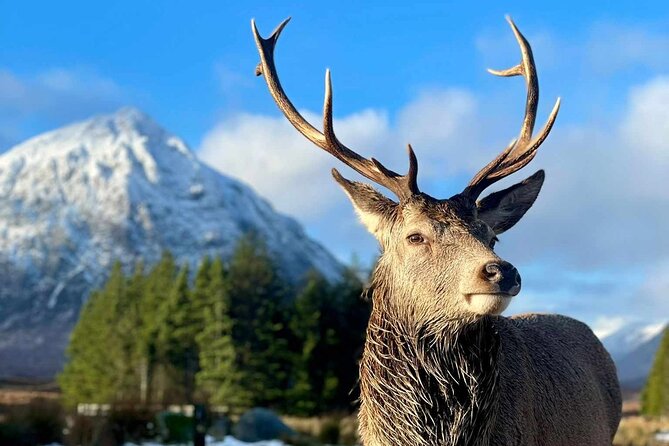 Scottish Highlands, Loch Ness and Glencoe Day Trip from Edinburgh - Glen Coe and the story behind the beauty