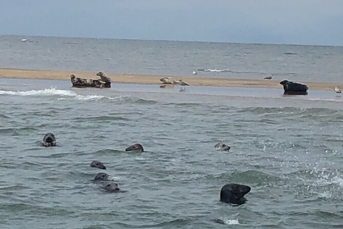 Scroby Sands Seal Watching - Leaving the harbor and turning north