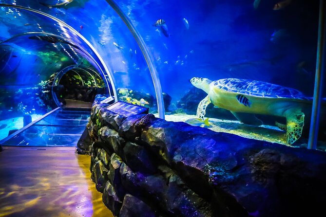 SEA LIFE Birmingham Admission Ticket - What your $26.05 ticket gets you