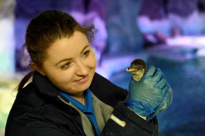 SEA LIFE Birmingham Admission Ticket - More than 2,000 creatures, but a compact route