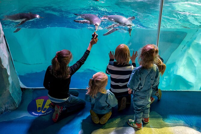 SEA LIFE Birmingham Admission Ticket - Who will enjoy this Birmingham attraction most