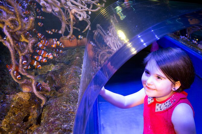 SEA LIFE Birmingham Admission Ticket - Meeting Ozzy and Ola, Birmingham’s sea otters