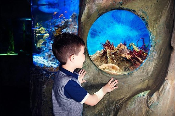 SEA LIFE Blackpool Admission Ticket - A submarine-style look at jellyfish and eels