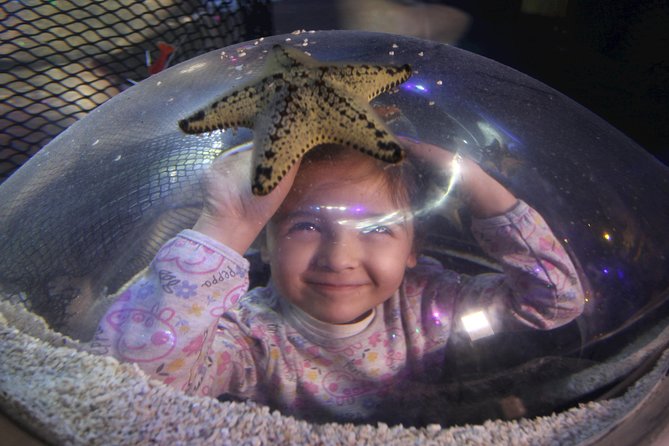 SEA LIFE Blackpool Admission Ticket - Entering the jungle with frogs and piranhas
