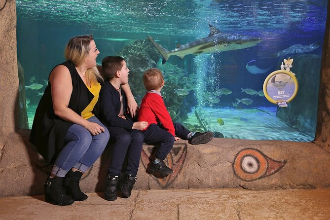 SEA LIFE Blackpool Admission Ticket - Sea Stars and small creatures worth a closer look