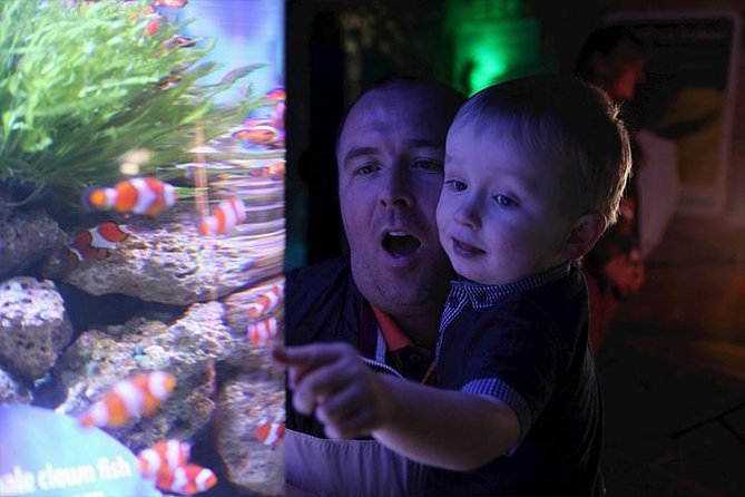SEA LIFE Blackpool Admission Ticket - Walking through the tropical reef tunnel