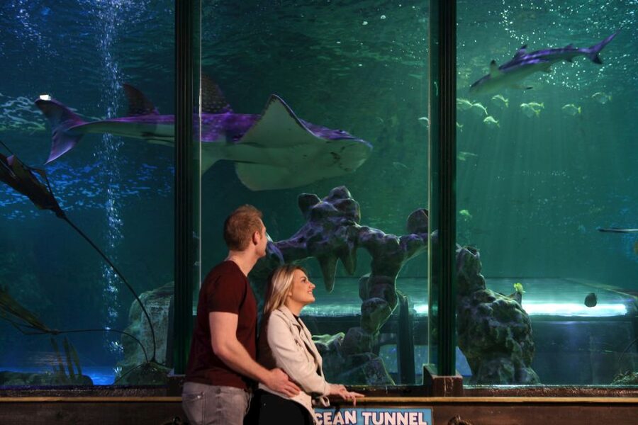 SEA LIFE Blackpool Entrance Ticket - Key points to know before you go