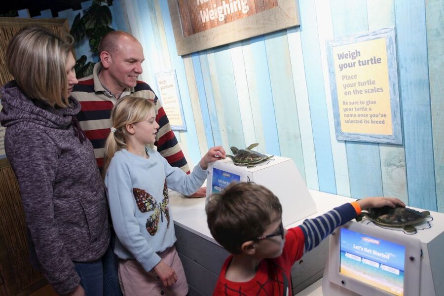 SEA LIFE Blackpool Entrance Ticket - The underwater tunnel and sharks overhead
