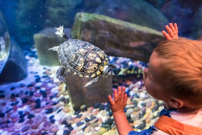 SEA LIFE Brighton Admission Ticket - The 750,000-liter ocean display