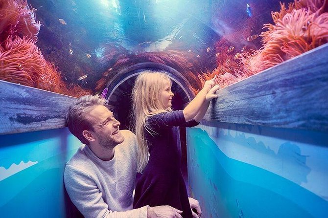 SEA LIFE Brighton Admission Ticket - Secrets of the Reef and the Maldives display
