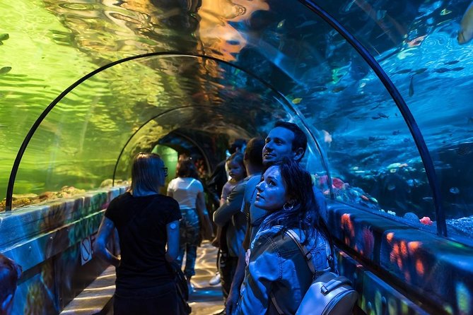 SEA LIFE Brighton Admission Ticket - Timing, tickets, and small practical details