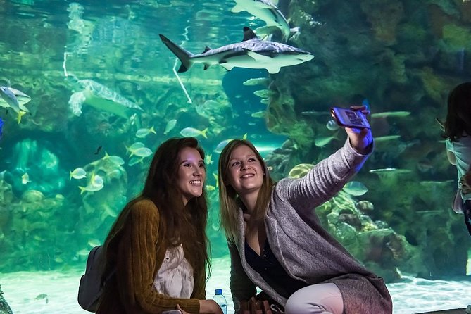 Sea Life Brighton Admission Ticket - The first galleries: starfish, tropical fish, and coral reefs