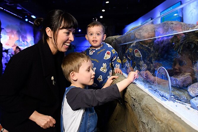 SEA LIFE London Aquarium Admission Ticket - The Pacific Zone delivers the biggest thrill